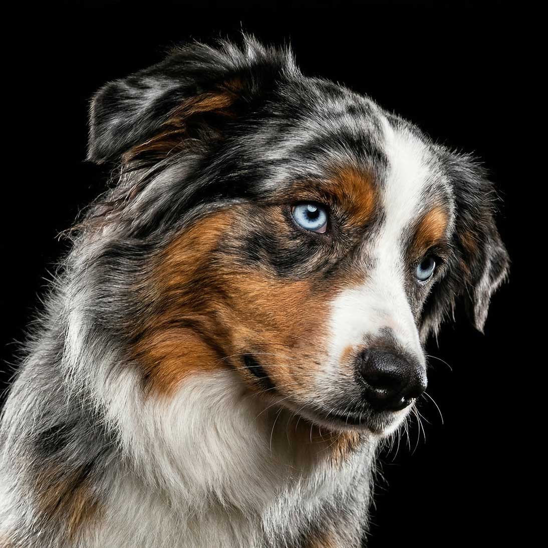 Know Your Buyer Like AI Does.