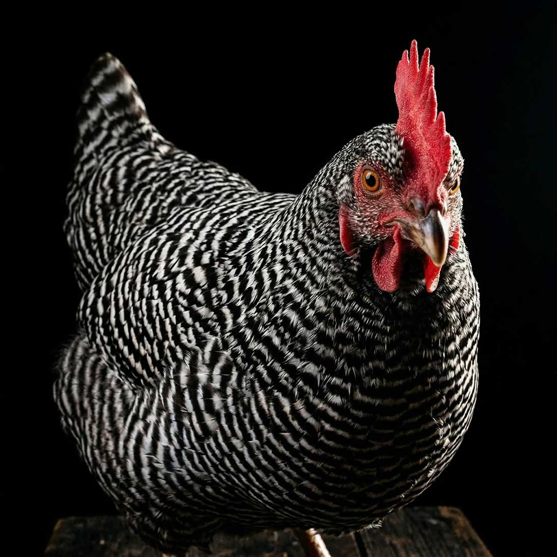 Build A Brand AI Can Find.