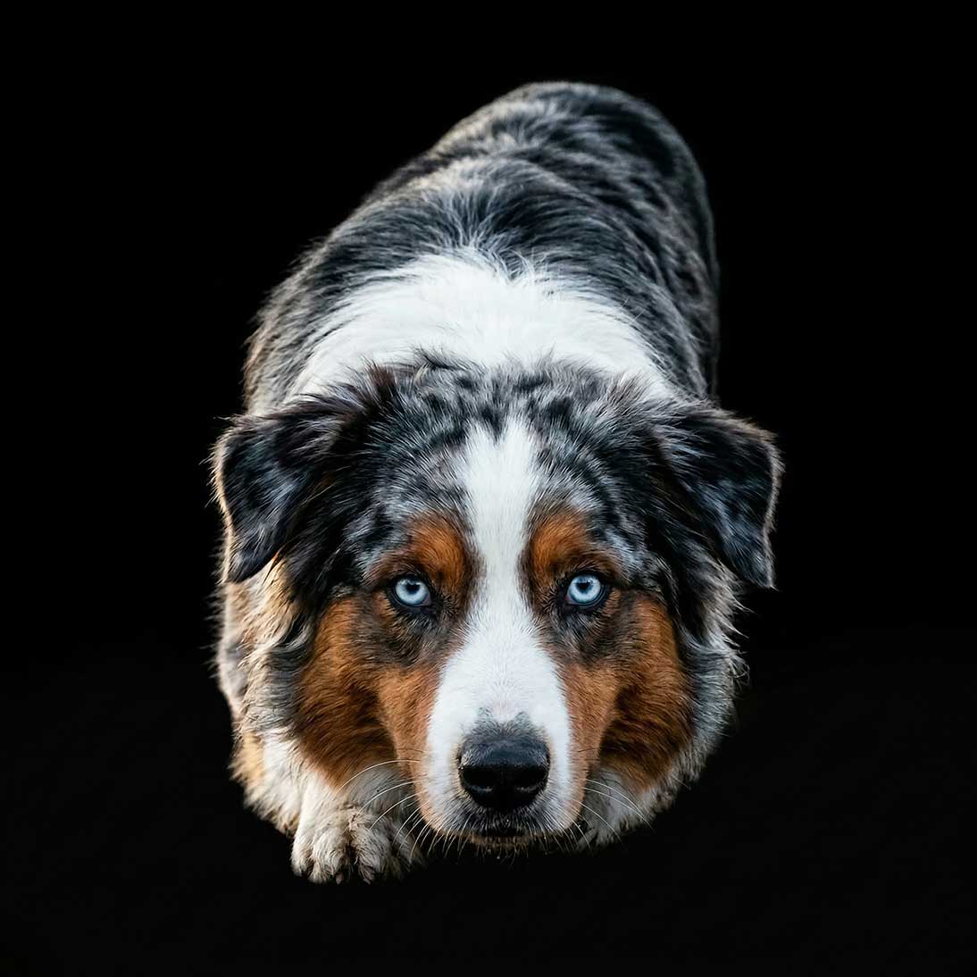 Be Weird. Be Bold. Be Unforgettable.