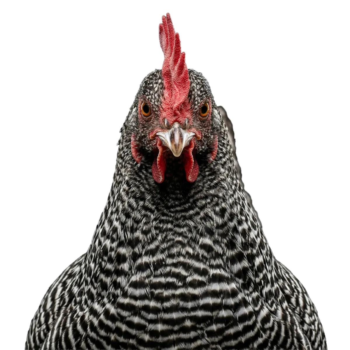 Build trust with customers through quality content